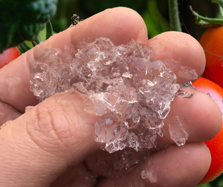 hydrogel 2